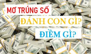 Nằm mơ thấy trúng số 