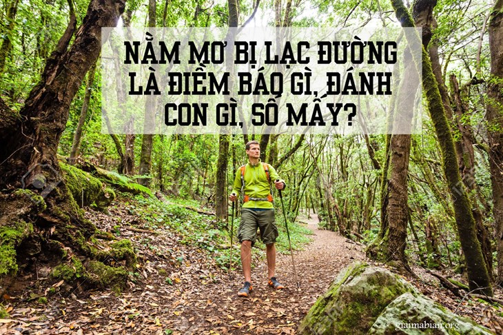 Giải mã giấc mơ lạc đường sẽ mang đến điềm báo gì? Đánh con gì ?