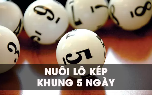 Lô kép nuôi khung 5 ngày miễn phí chính xác