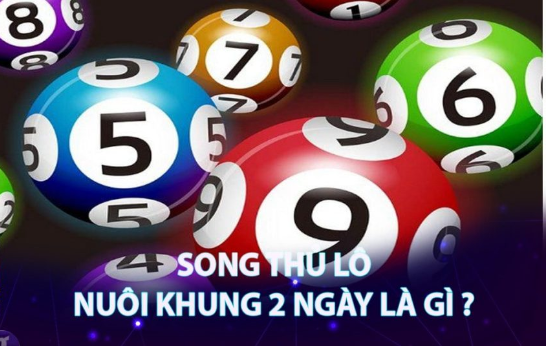 Song thủ lô nuôi khung 2 ngày